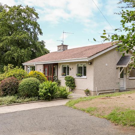 Glebe Farm Cottage Newry Dış mekan fotoğraf