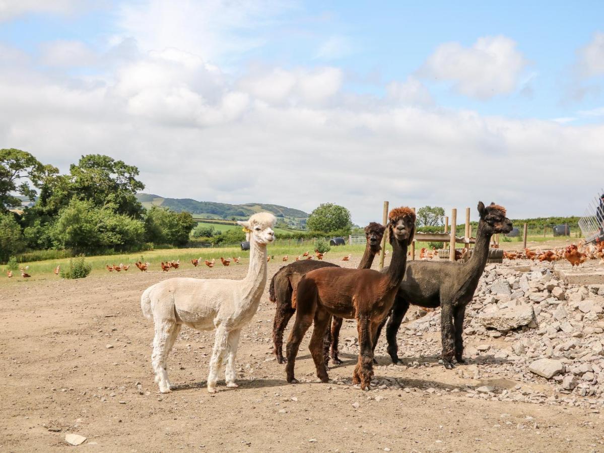 Glebe Farm Cottage Newry Dış mekan fotoğraf